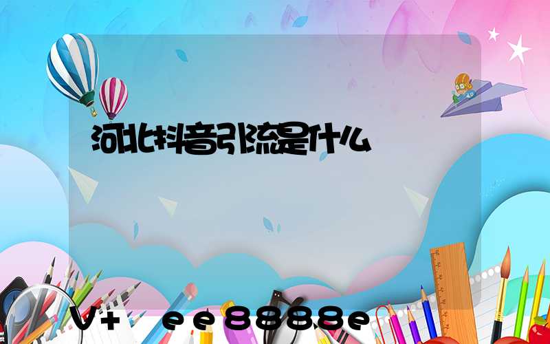 河北抖音引流是什么