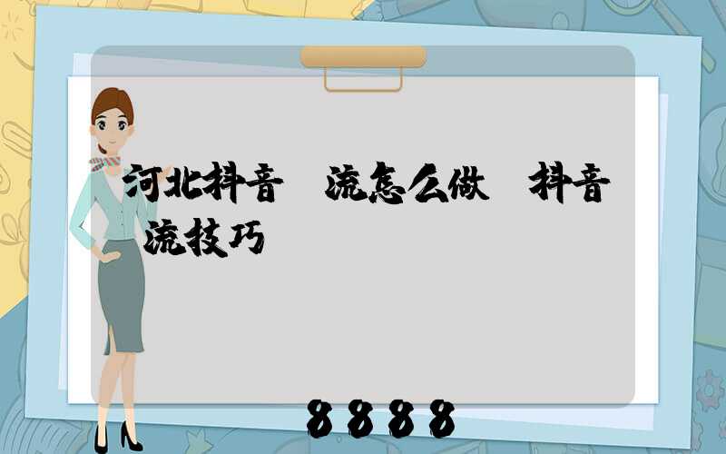 河北抖音投流怎么做(抖音投流技巧)