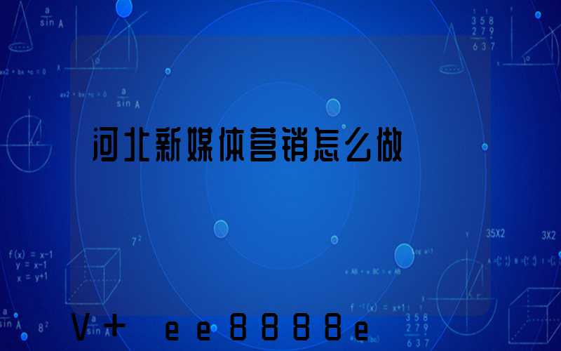河北新媒体营销怎么做