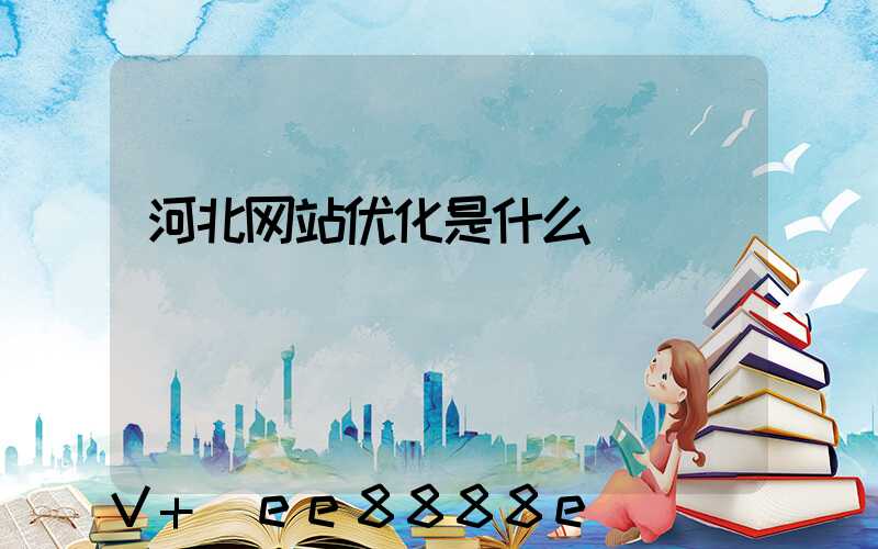 河北网站优化是什么
