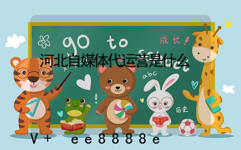 河北自媒体代运营是什么