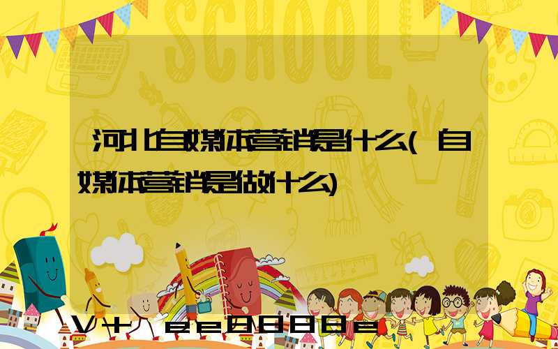 河北自媒体营销是什么(自媒体营销是做什么)