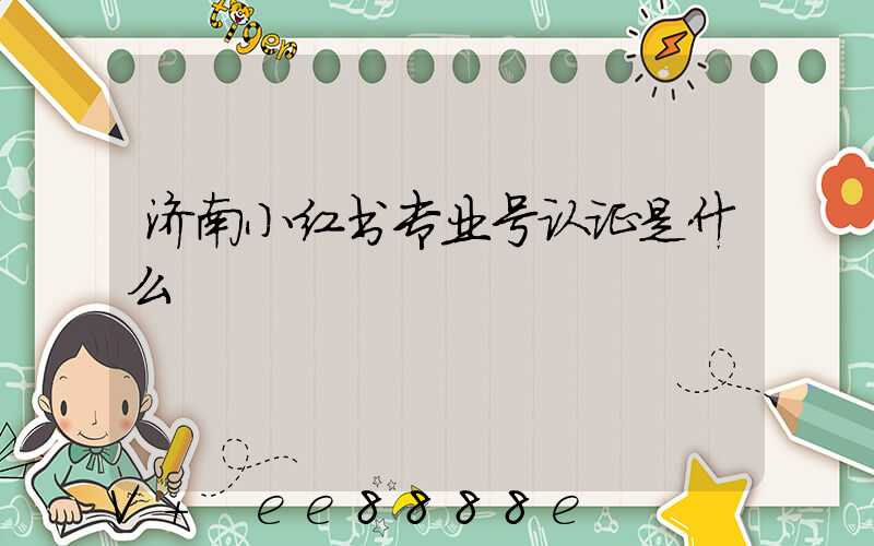 济南小红书专业号认证是什么