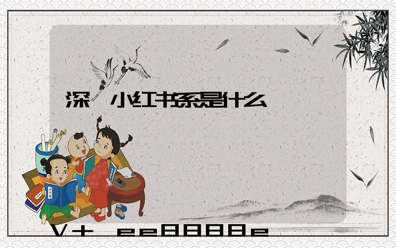 深圳小红书系是什么
