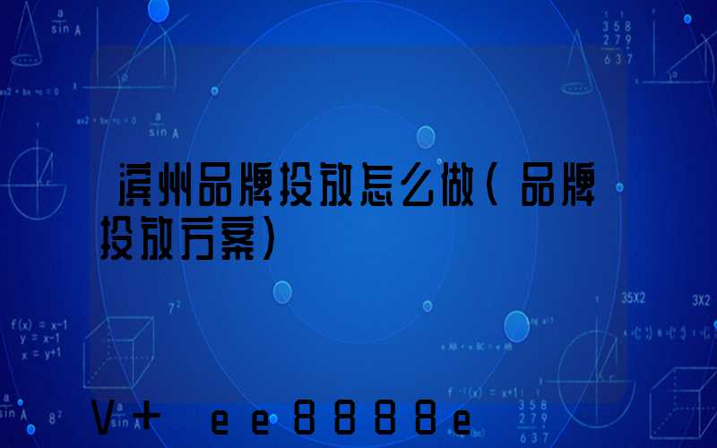 滨州品牌投放怎么做(品牌投放方案)