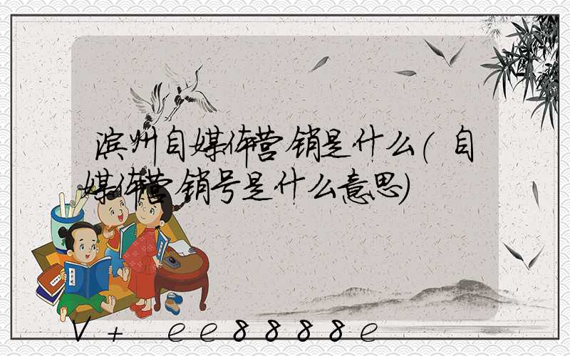 滨州自媒体营销是什么(自媒体营销号是什么意思)