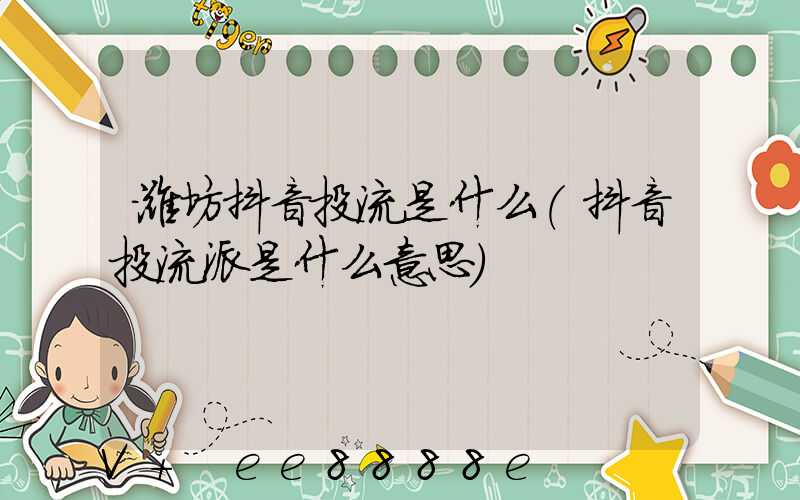 潍坊抖音投流是什么(抖音投流派是什么意思)