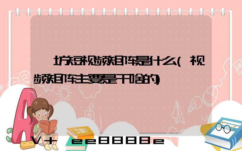 潍坊短视频矩阵是什么(视频矩阵主要是干啥的)