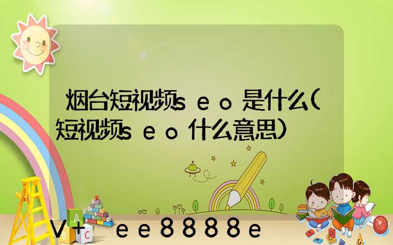 烟台短视频seo是什么(短视频seo什么意思)