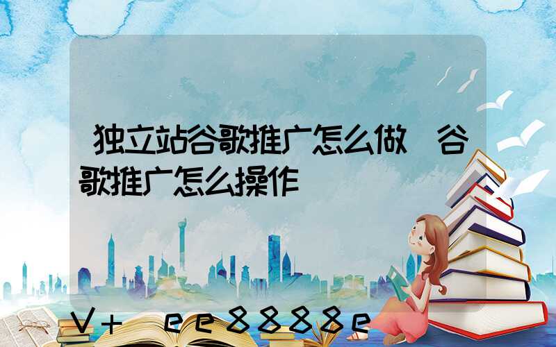 独立站谷歌推广怎么做(谷歌推广怎么操作)