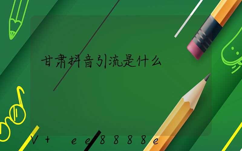 甘肃抖音引流是什么