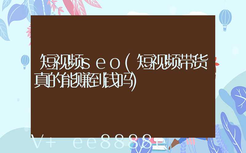 短视频seo(短视频带货真的能赚到钱吗)