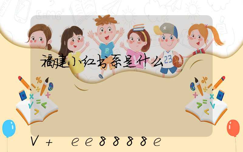 福建小红书系是什么