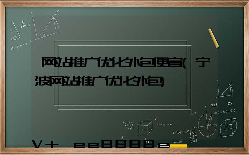 网站推广优化外包便宜(宁波网站推广优化外包)