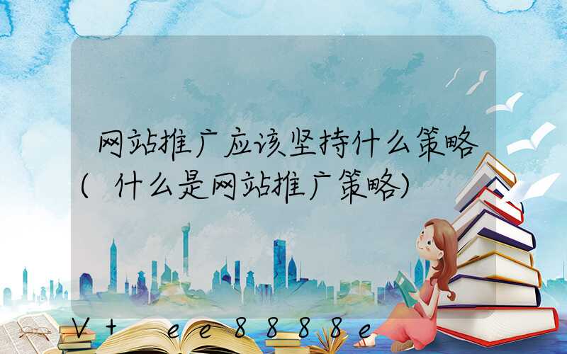 网站推广应该坚持什么策略(什么是网站推广策略)