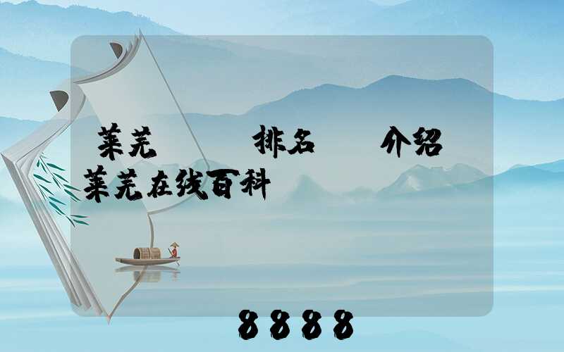 莱芜seo排名ai介绍(莱芜在线百科)