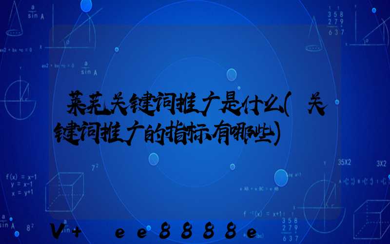 莱芜关键词推广是什么(关键词推广的指标有哪些)