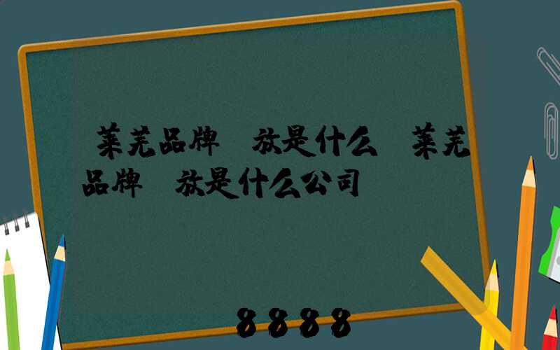 莱芜品牌投放是什么(莱芜品牌投放是什么公司)