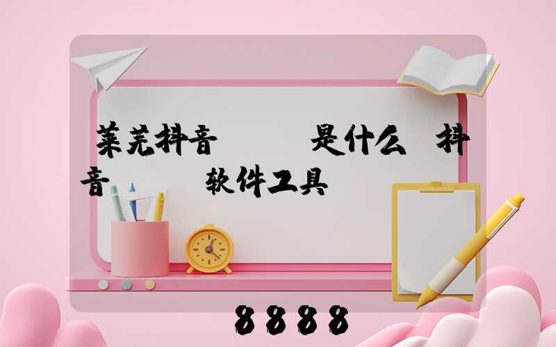 莱芜抖音seo是什么(抖音seo软件工具)