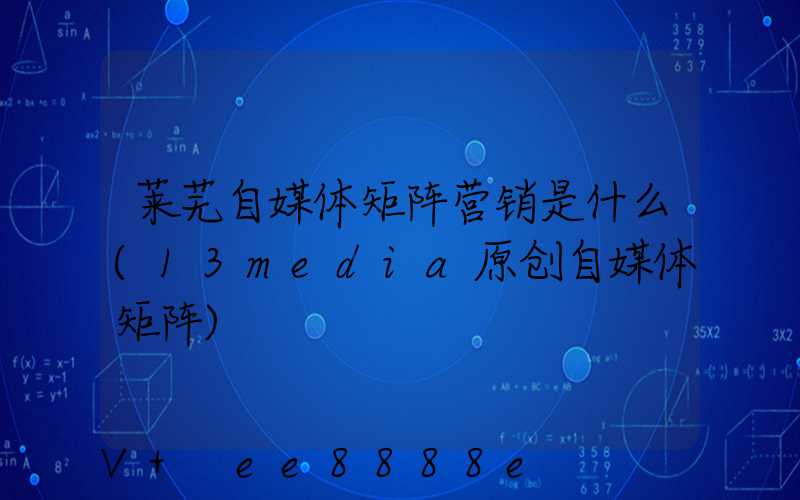 莱芜自媒体矩阵营销是什么(13media原创自媒体矩阵)