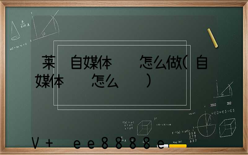 莱芜自媒体营销怎么做(自媒体营销怎么赚钱)