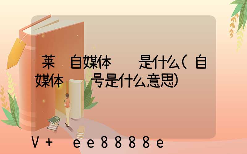 莱芜自媒体营销是什么(自媒体营销号是什么意思)
