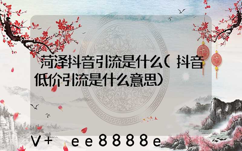 菏泽抖音引流是什么(抖音低价引流是什么意思)