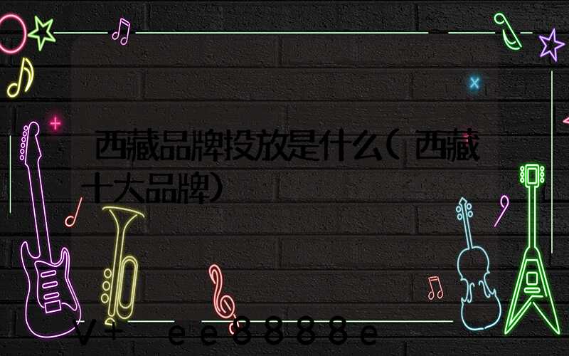 西藏品牌投放是什么(西藏十大品牌)