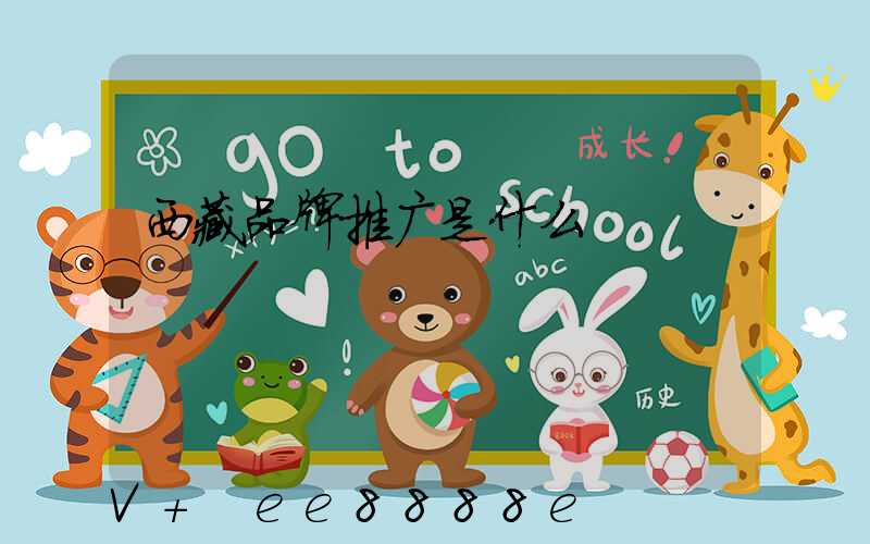 西藏品牌推广是什么