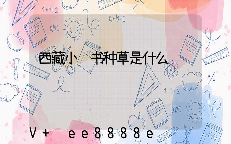 西藏小红书种草是什么