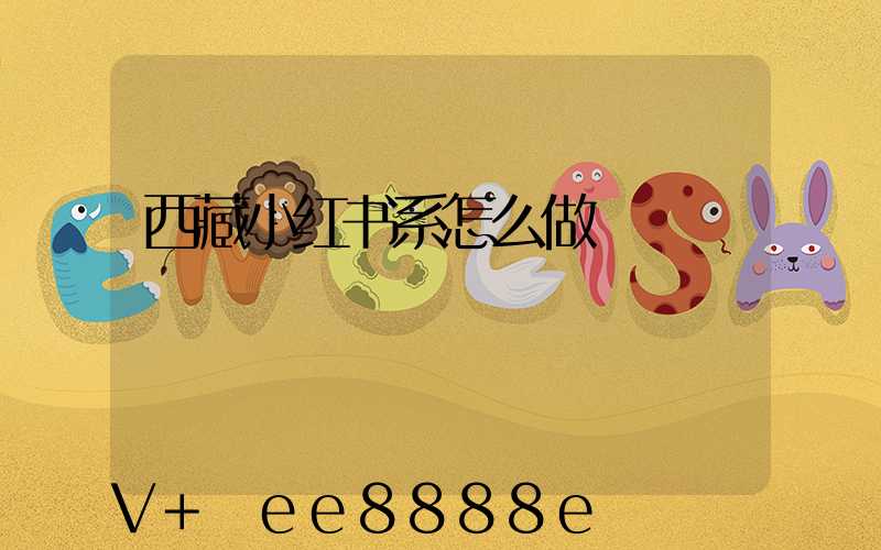 西藏小红书系怎么做