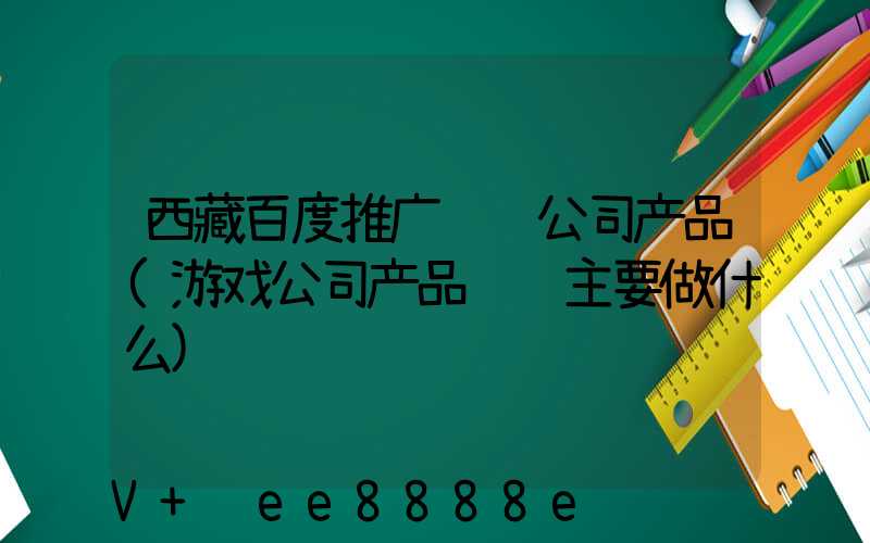 西藏百度推广运营公司产品(游戏公司产品运营主要做什么)