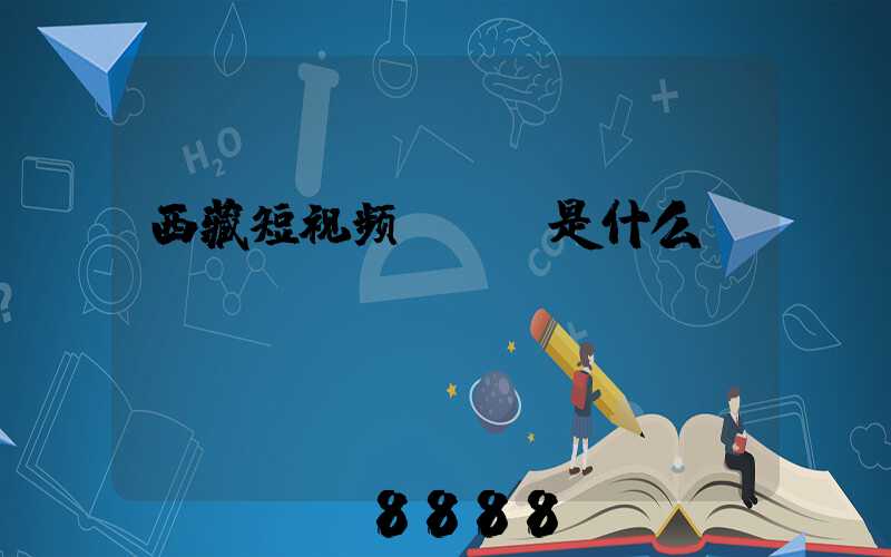 西藏短视频seo是什么