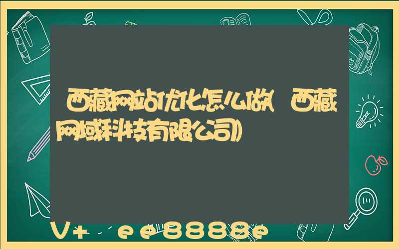 西藏网站优化怎么做(西藏网域科技有限公司)