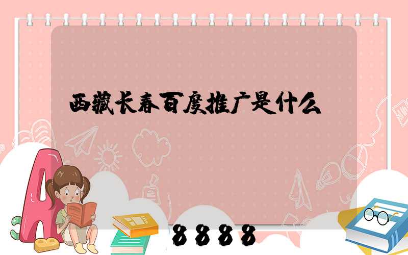 西藏长春百度推广是什么