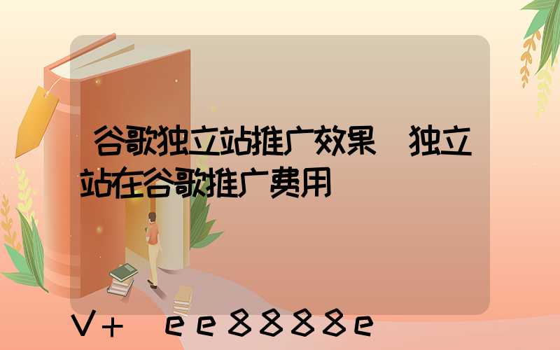 谷歌独立站推广效果(独立站在谷歌推广费用)