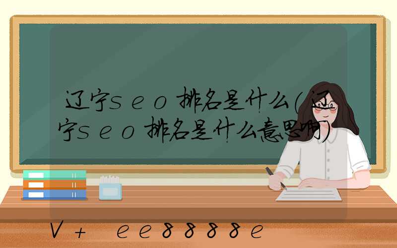 辽宁seo排名是什么(辽宁seo排名是什么意思啊)