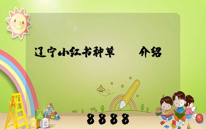 辽宁小红书种草ai介绍