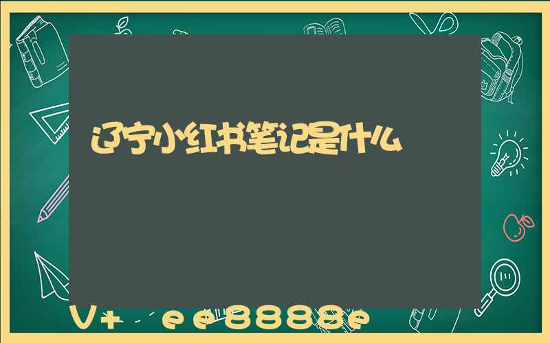 辽宁小红书笔记是什么