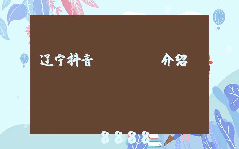 辽宁抖音seoai介绍