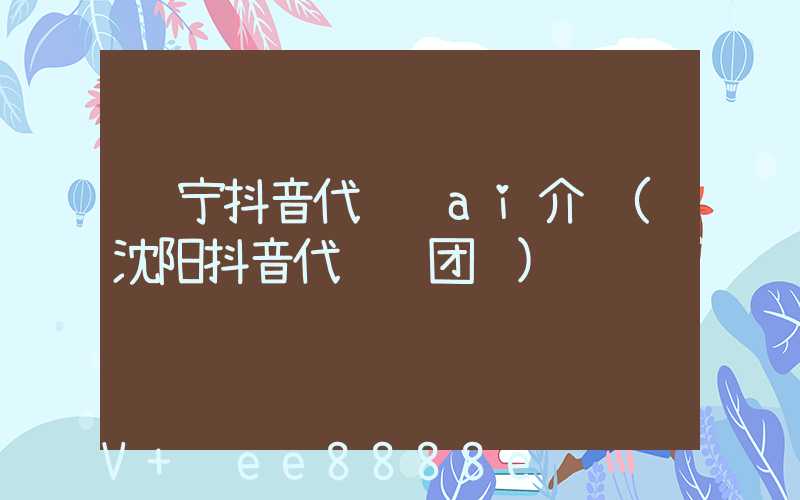 辽宁抖音代运营ai介绍(沈阳抖音代运营团队)
