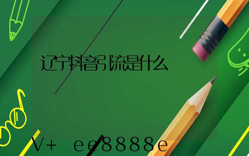 辽宁抖音引流是什么