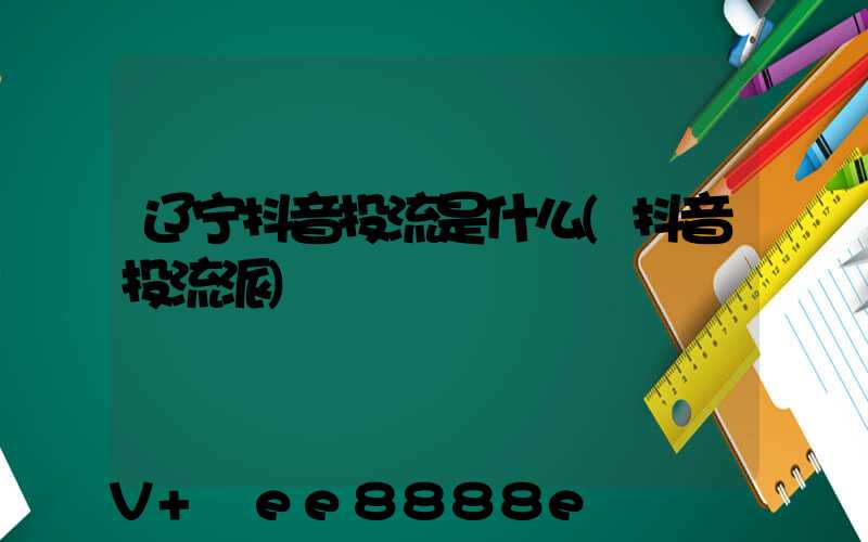 辽宁抖音投流是什么(抖音投流派)