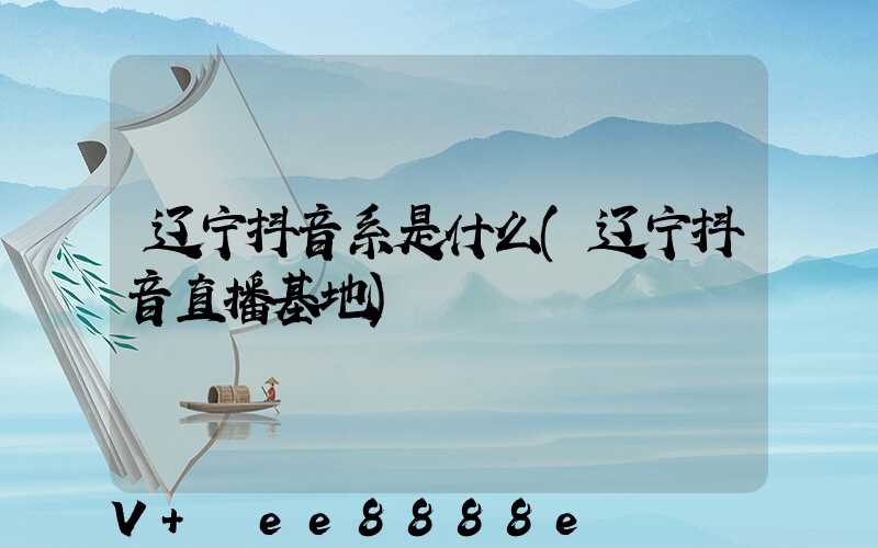辽宁抖音系是什么(辽宁抖音直播基地)