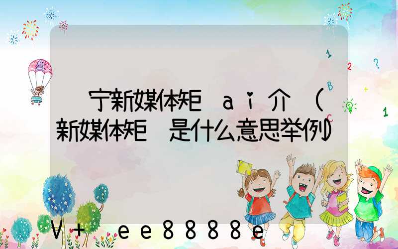 辽宁新媒体矩阵ai介绍(新媒体矩阵是什么意思举例)