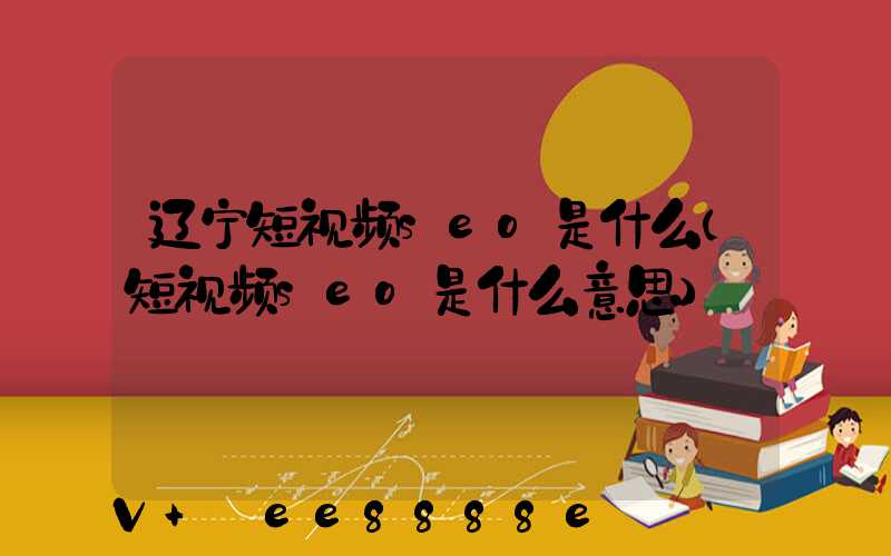 辽宁短视频seo是什么(短视频seo是什么意思)