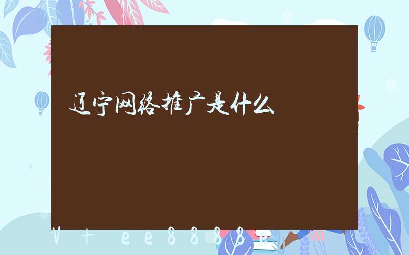 辽宁网络推广是什么