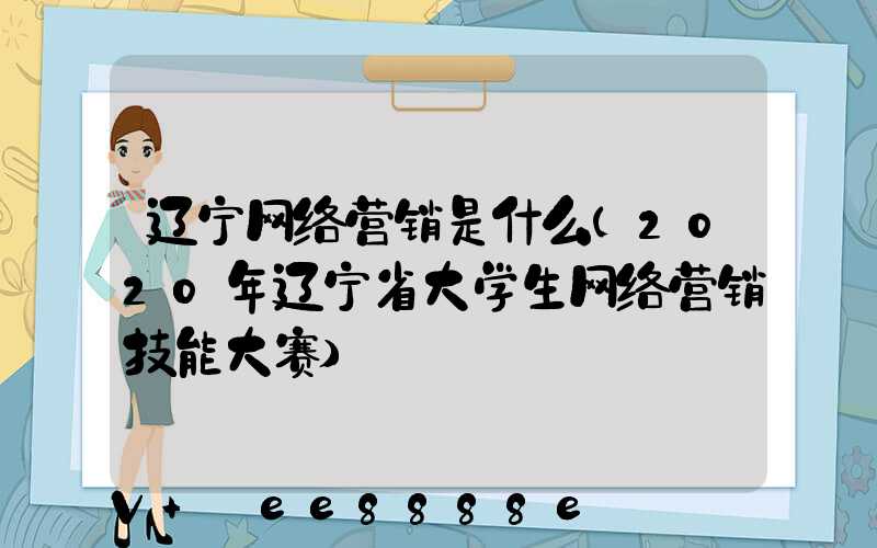 辽宁网络营销是什么(2020年辽宁省大学生网络营销技能大赛)