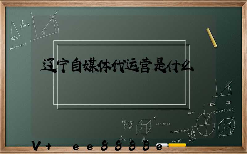 辽宁自媒体代运营是什么