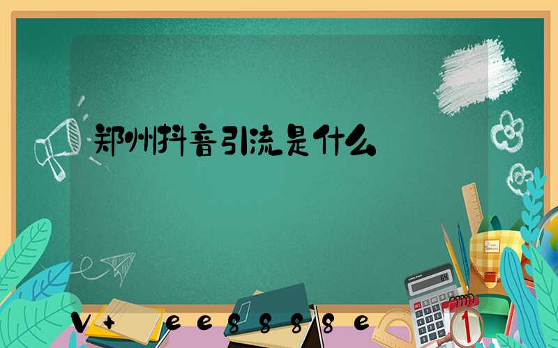 郑州抖音引流是什么